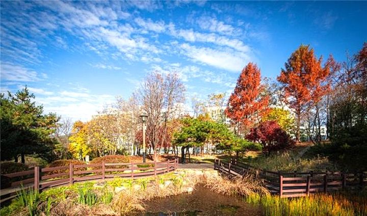 [횡성=뉴시스] 횡성3.1공원 내부. (사진=횡성군 제공) 2025.11.04. photo@newsis.com *재판매 및 DB 금지