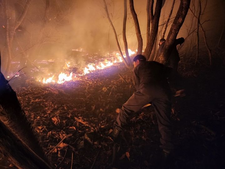[안산=뉴시스]산불전문진화대가 산불을 진화하고 있다.(사진=안산시 제공)2025.11.04.photo@newsis.com *재판매 및 DB 금지