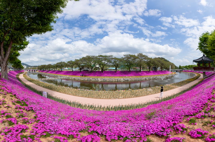 [순창=뉴시스] 순창군이 추진 중인 '경천·양지천 수변 종합개발사업'에서 먼저 사업이 완료된 양지천의 아름다운 모습. *재판매 및 DB 금지