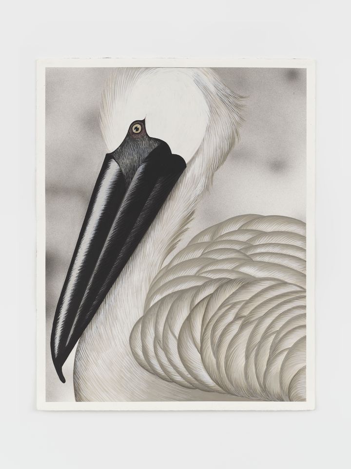 Julie Curtiss Pelican 2024 Gouache on paper 48.3 x 38.4 cm | 19 x 15 1/8 in. © the artist. Photo © White Cube (Frankie Tyska).&nbsp; *재판매 및 DB 금지