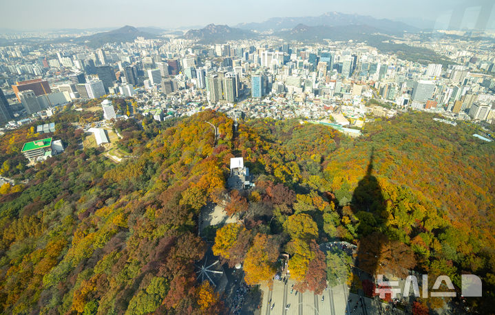 [서울=뉴시스] 황준선 기자 = 완연한 가을 날씨를 보인 4일 서울 중구 남산에 단풍이 물들어 있다. 2025.11.04. hwang@newsis.com