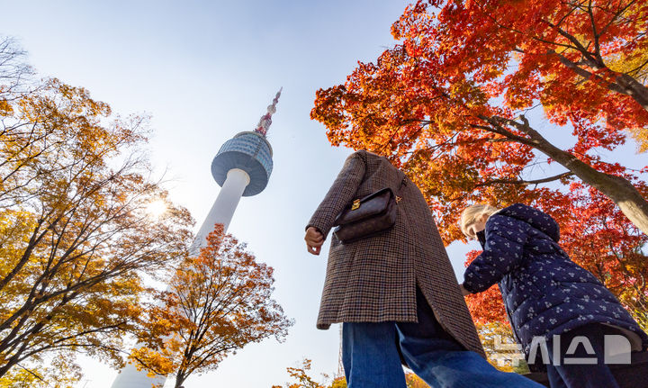 한낮 20도 포근한 '입동' 대구·경북…아침엔 3도 쌀쌀해요