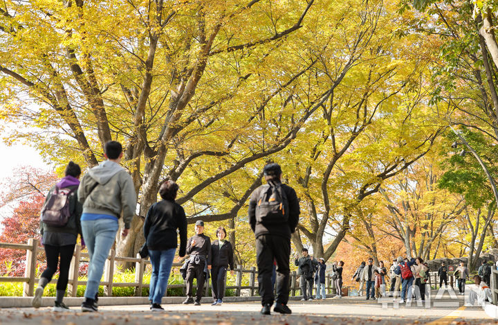 맑은 대구·경북, 일교차 15도...내륙 중심 짙은 안개 유의