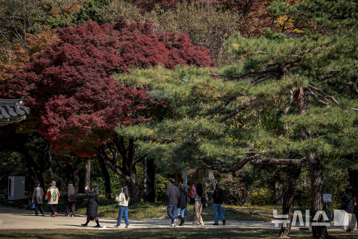 [서울=뉴시스] 정병혁 기자 = 완연한 가을 날씨를 보인 4일 서울 중구 덕수궁을 찾은 시민들이 산책을 하고 있다. 2025.11.04. jhope@newsis.com
