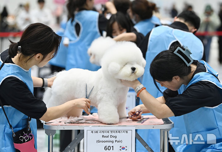 [수원=뉴시스] 김종택 기자 = 4일 경기 수원시 권선구 수원메쎄에서 열린 제9회 리케이배 펫 아트 페스티벌에서 참가자들이 애견 미용 실력을 선보이고 있다. 2025.11.04. jtk@newsis.com