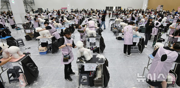 [수원=뉴시스] 김종택 기자 = 4일 경기 수원시 권선구 수원메쎄에서 열린 제9회 리케이배 펫 아트 페스티벌에서 참가자들이 애견 미용 실력을 선보이고 있다. 2025.11.04. jtk@newsis.com