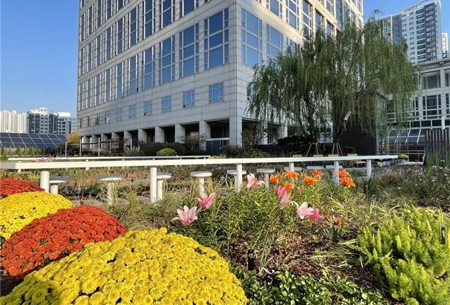 [부산=뉴시스] 부산시 시청사 4층에 조성된 하늘정원(사진=부산시 제공) 2025.11.05. photo@newsis.com *재판매 및 DB 금지