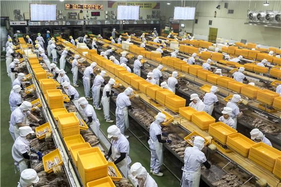 [부산=뉴시스] 참치통조림 생산 모습. (사진=국립수산과학원 제공) 2025.11.05. photo@newsis.com *재판매 및 DB 금지