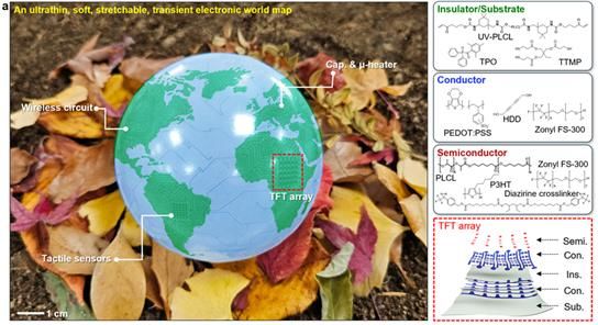 [서울=뉴시스] 초박막형, 유연 및 신축성 시한성 전자시스템으로 구성된 세계지도 이미지(왼쪽), 용액공정 및 광경화 가능한 전자재료의 구성 성분과 박막 트랜지스터의 개략도. (사진=고려대 제공) 2025.11.05. photo@newsis.com *재판매 및 DB 금지