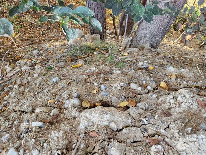 [강릉=뉴시스] 강릉지역의 한 환경업체가 건설폐기물을 불법 투기한 현장 모습.2025.11.05grsoon815@newsis.com *재판매 및 DB 금지