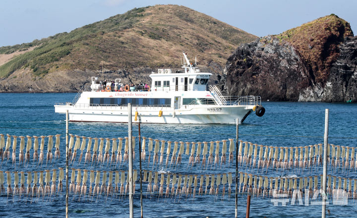 [제주=뉴시스] 우장호 기자 = 맑은 날씨를 보인 지난 5일 오전 제주시 한경면 고산리 차귀도포구에서 오징어가 가을 햇살 아래서 건조되고 있다. 2025.11.05. woo1223@newsis.com