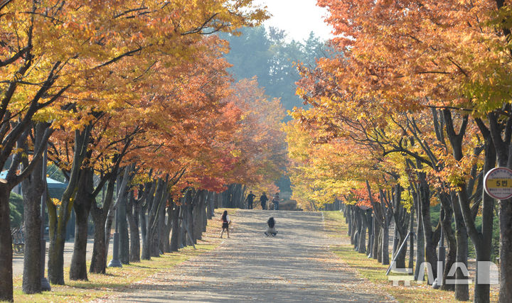 울산, 이번 주말 맑은 가운데 바람 강해…낮 최고 27도