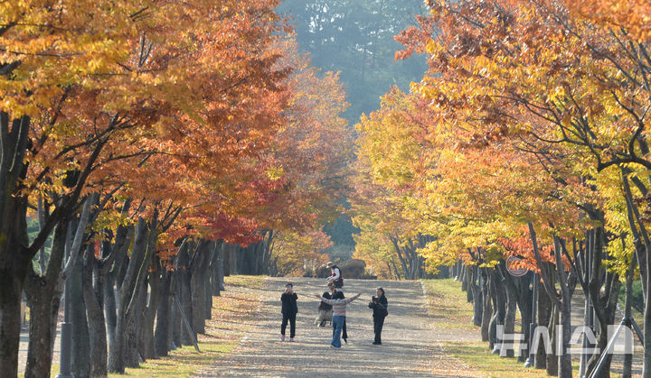 [울산=뉴시스] 배병수 기자 = 포근한 날씨를 보인 5일 오전 울산 남구 문수체육공원을 찾은 시민들이 낙엽을 밟으며 가을 정취를 만끽하고 있다.2025.11.05.bbs@newsis.com.