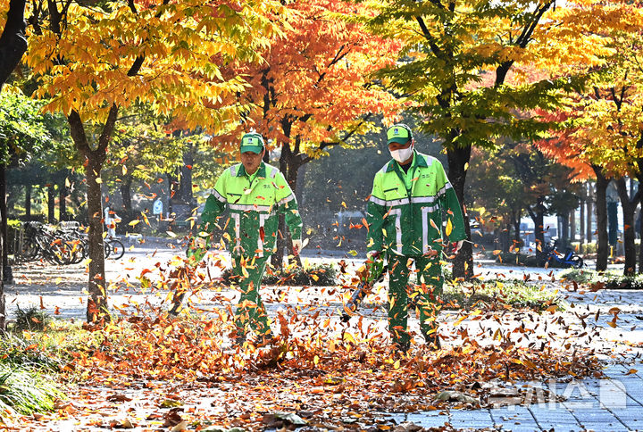 [수원=뉴시스] 김종택 기자 = 절기상 입동을 이틀 앞둔 5일 경기 수원시 팔달구 인계동 가로수길에서 환경관리원들이 전동 송풍기를 이용해 수북히 쌓인 낙엽을 청소하고 있다. 2025.11.05. jtk@newsis.com