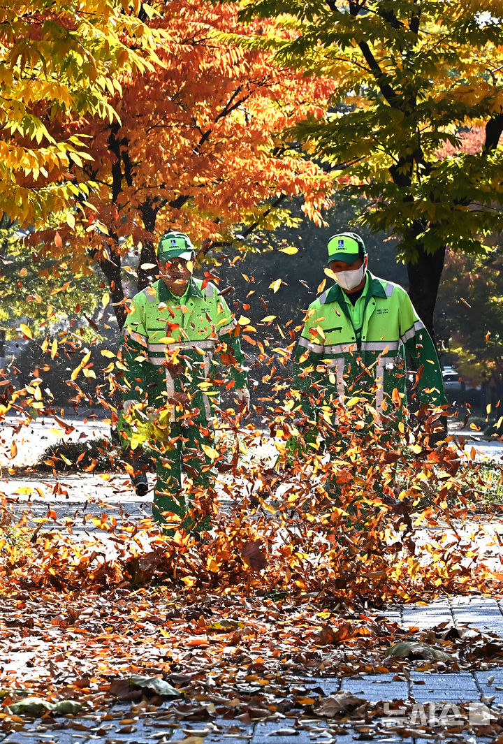 [수원=뉴시스] 김종택 기자 = 절기상 입동을 이틀 앞둔 5일 경기 수원시 팔달구 인계동 가로수길에서 환경관리원들이 전동 송풍기를 이용해 수북히 쌓인 낙엽을 청소하고 있다. 2025.11.05. jtk@newsis.com