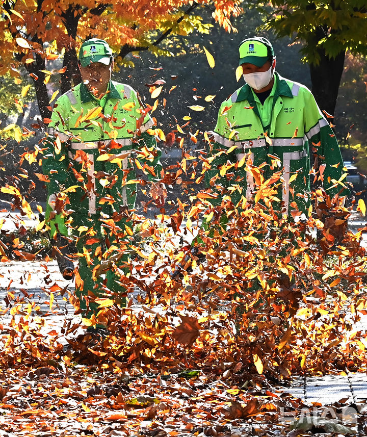 [수원=뉴시스] 김종택 기자 = 절기상 입동을 이틀 앞둔 5일 경기 수원시 팔달구 인계동 가로수길에서 환경관리원들이 전동 송풍기를 이용해 수북히 쌓인 낙엽을 청소하고 있다. 2025.11.05. jtk@newsis.com