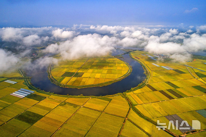 남도의 젖줄 영산강 품은 황금빛 나주평야 전경. (사진=나주시 제공) photo@newsis.com *재판매 및 DB 금지