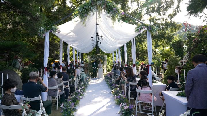 [안동=뉴시스] 경북도가 개최한 '나만의 작은 결혼식' 공모전에서 대상을 수상한 '식물원 결혼식'. (사진=경북도 제공) 2025.11.06. photo@newsis.com *재판매 및 DB 금지