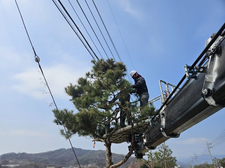 [괴산소식]장애인 20명과 제주도 힐링 여행 등