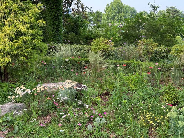 [서울=뉴시스]2024년 사업지 어린이대공원 비밀정원의 현재 모습.(사진=유한킴벌리 제공) 2025.1.06. photo@newsis.com *재판매 및 DB 금지