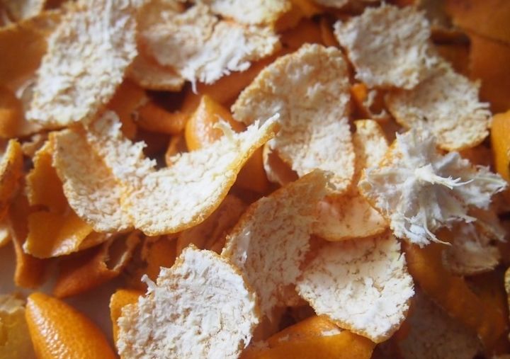 [세종=뉴시스] 감귤박. (사진=농촌진흥청 제공) *재판매 및 DB 금지