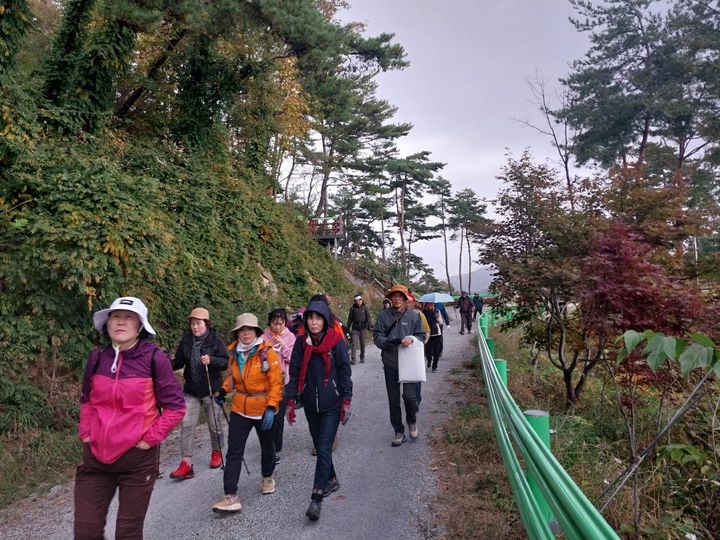 속리산 둘레길 걷기 축제 *재판매 및 DB 금지
