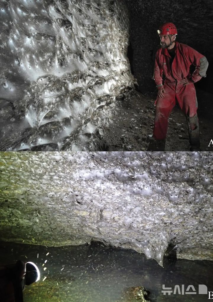 [뉴시스] 그리스와 알바니아 국경 인근 동굴에서 발견된 세계에서 가장 큰 거미줄의 모습(사진=뉴욕 포스트) 2025.11.5 