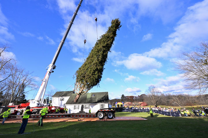 [이스트 그린부시=AP/뉴시스] 6일(현지 시간) 미국 뉴욕주 이스트 그린부시에서 작업자들이 올해 록펠러센터 크리스마스트리로 사용할 높이 약 23m, 무게 11톤의 노르웨이 가문비나무를 크레인으로 들어 대형 트럭에 싣고 있다. 이 나무는 뉴욕시로 운반돼 8일 록펠러센터에 세워질 예정이다. 2025.11.07.