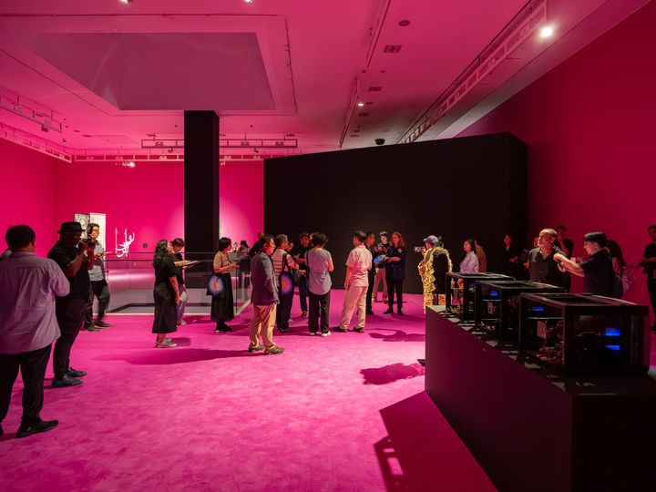 제13회 서울미디어시티비엔날레 '강령영혼의기술'전시전경, 서울시립미술관, 2025.사진 홍철기. 서울시립미술관제공 *재판매 및 DB 금지