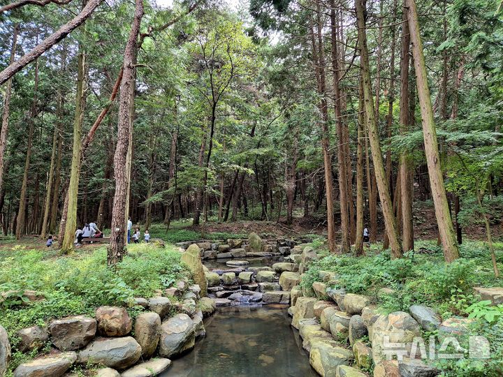 [사천=뉴시스] 산림청 주관 '제8회 친환경 사방시설 우수사례' 공모에서 대상 수상한 경남 사천시 곤명면 용산리 다솔사 인근 사방시설.(사진=경남도 제공) 2025.11.07.photo@newsis.com