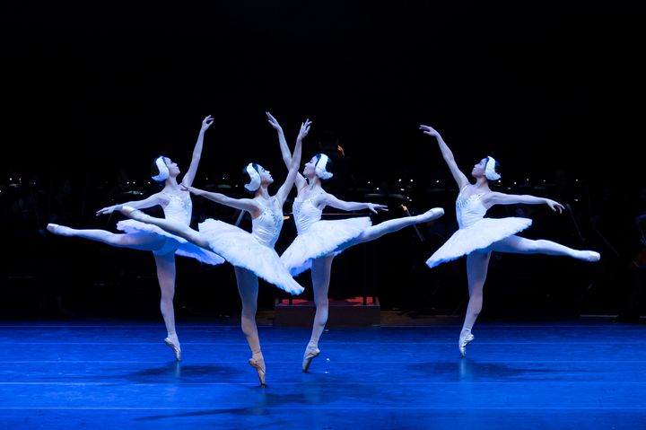 '백조의 호수' 공연 장면. (사진=마포문화재단 제공) *재판매 및 DB 금지