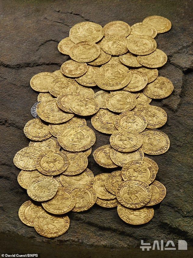 [뉴시스] 8000파운드에 팔린 아라곤의 캐서린과 함께 있는 이중 장미 왕관 금화(사진=데일리메일) 2025.11.06. 