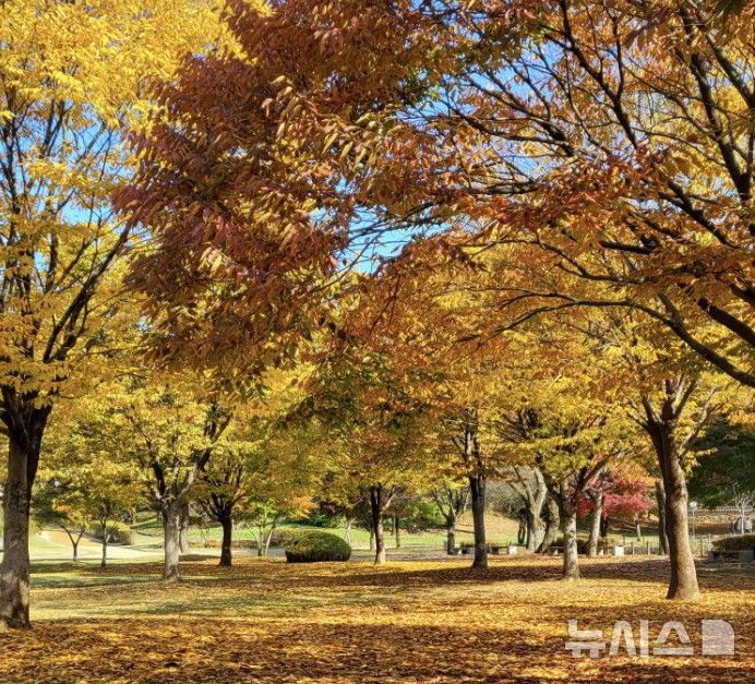 [파주=뉴시스] 파주 이이 유적. (사진=파주시청 제공) 2025.11.08 photo@newsis.com