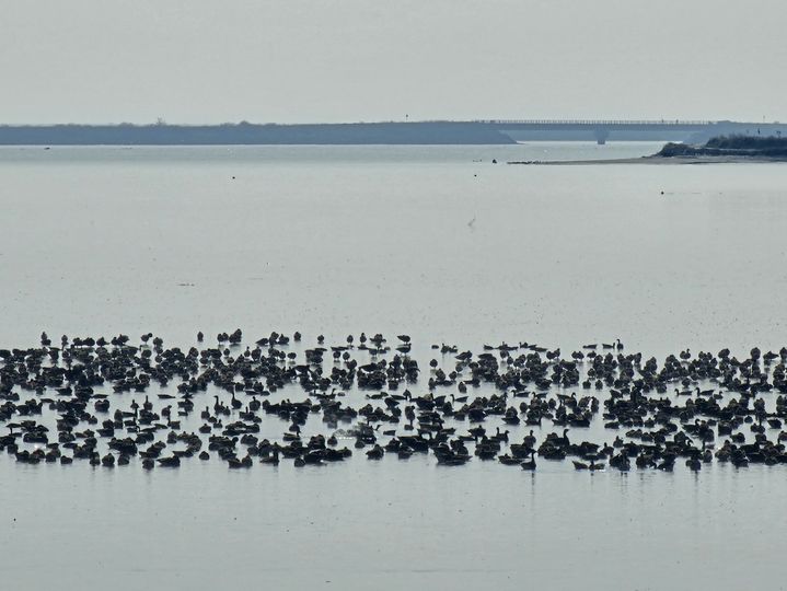 대전·세종·충남 흐리고 늦은 밤부터 비…오전 안개도