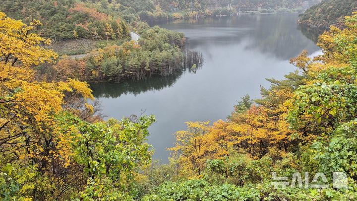 [강릉=뉴시스] 이순철 기자 = 8일 강릉 오봉저수지에 붉게 물든 단풍과 안개, 물결이 조화를 이루고 있다. 2025.11.08. grsoon815@newsis.com 