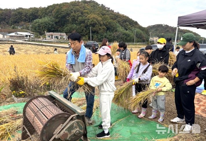 [포항=뉴시스] 송종욱 기자 = 지난 8일 남구 대송면 장동리에서 열린 어린이 농부학교 벼 수확 체험. 2025.11.09. photo@newsis.com 