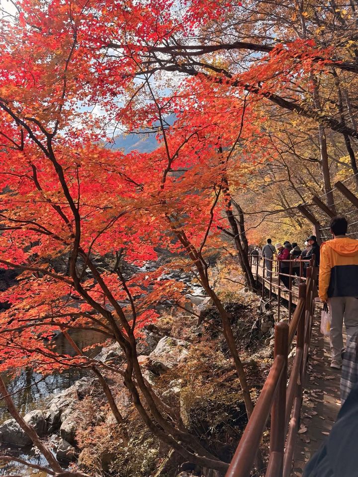 경남외국인주민지원센터, 외국인주민 지리산 뱀사골 신선길 등산대회.(사진=경남외국인주민지원센터 제공) 2025.11.09. *재판매 및 DB 금지