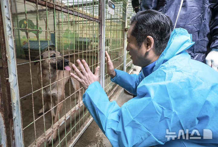 [용인=뉴시스] 정병혁 기자 = 정청래 더불어민주당 대표가 9일 경기 용인시의 유기견 보호소 행복한 강아지들이 사는집을 찾아 봉사활동에 앞서 강아지들과 인사를 하고 있다. 2025.11.09. jhope@newsis.com