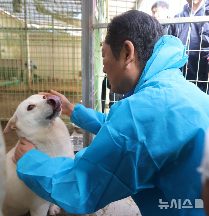[용인=뉴시스] 정병혁 기자 = 정청래 더불어민주당 대표가 9일 경기 용인시의 유기견 보호소 행복한 강아지들이 사는집을 찾아 봉사활동에 앞서 견사를 둘러보며 유기견과 인사를 나누고 있다. (공동취재) 2025.11.09. photo@newsis.com