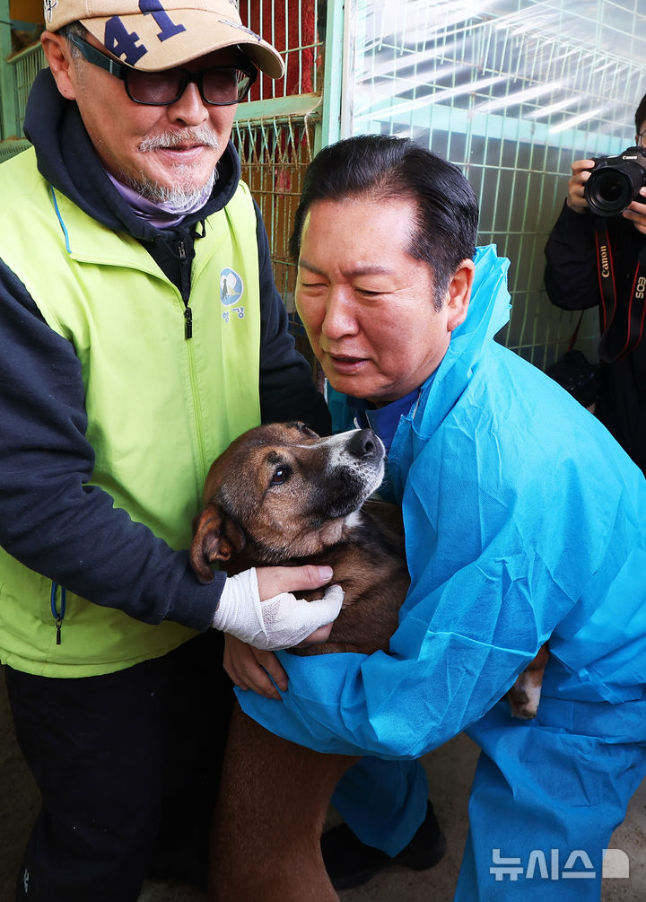[용인=뉴시스] 정병혁 기자 = 정청래 더불어민주당 대표가 9일 경기 용인시의 유기견 보호소 행복한 강아지들이 사는집을 찾아 봉사활동을 하고 있다. (공동취재) 2025.11.09. photo@newsis.com