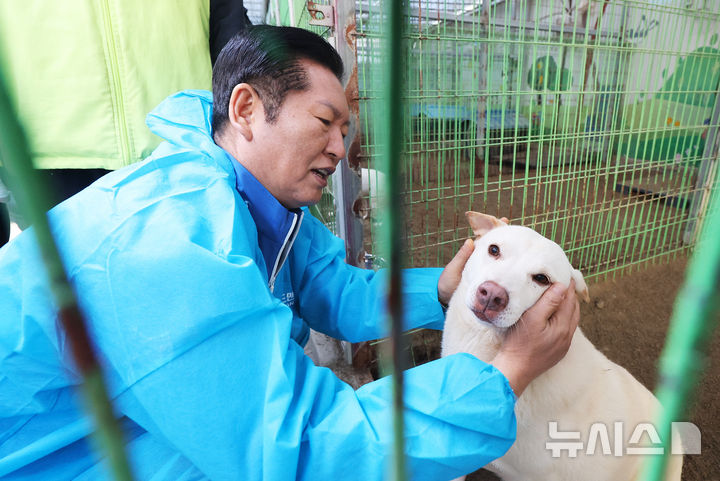 [용인=뉴시스] 정병혁 기자 = 정청래 더불어민주당 대표가 9일 경기 용인시의 유기견 보호소 행복한 강아지들이 사는집을 찾아 봉사활동을 하고 있다. (공동취재) 2025.11.09. photo@newsis.com