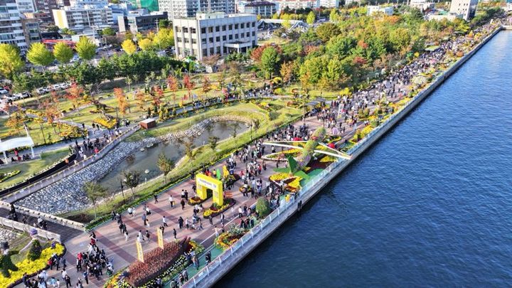 [창원=뉴시스] 강경국 기자 = 제25회 마산가고파국화축제 축제장. (사진=창원시청 제공). 2025.11.10. photo@newsis.com *재판매 및 DB 금지