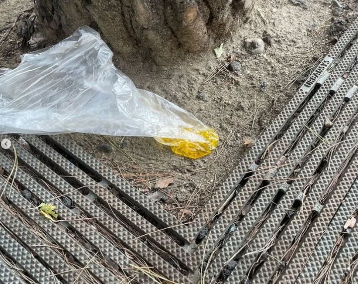 [뉴시스] 최근 한 택시 기사가 소변이 담긴 비닐봉투를 남의 매장 앞에 투척하는 모습이 담긴 CCTV 영상이 공개됐다. 사진은 소변이 담긴 비닐봉투의 모습. (사진 = '보배드림' 인스타그램 캡처) 2025.11.10. *재판매 및 DB 금지