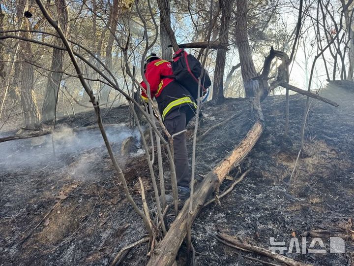 [괴산=뉴시스] 10일 충북 괴산군 칠성면 산불 현장 (사진= 산림청 제공) 2025.11.10. photo@newsis.com *재판매 및 DB 금지