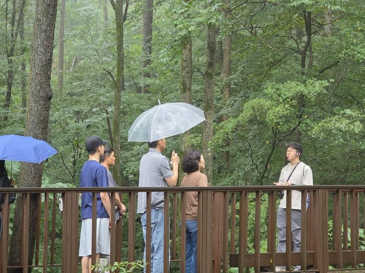 [횡성=뉴시스] 산림치유 캠프. (사진=국립횡성숲체원 제공) 2025.11.19. photo@newsis.com *재판매 및 DB 금지