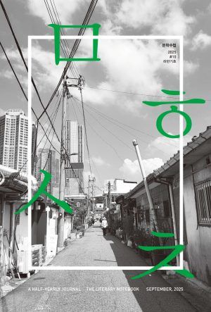 [서울=뉴시스] '반연간 문학수첩' 2025년 하반기호. (사진=문학수첩 제공) 2025.11.10. photo@newsis.com *재판매 및 DB 금지 