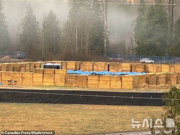 [뉴시스] 울타리 안에 약 300마리의 타조가 죽어 있는 모습. 사체 위에 방수포가 덮여 있다. (사진=데일리메일) 2025.11.07. 