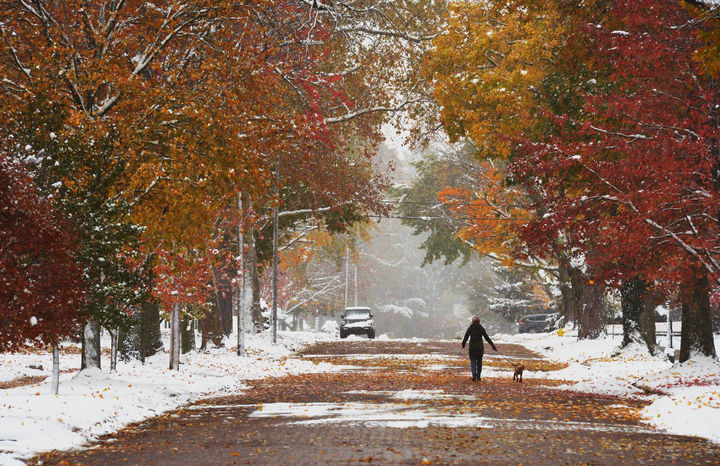 [미시간주=AP/뉴시스] 10일(현지 시간) 미국 미시간주 세인트 조셉 실버 비치 카운티 공원에 눈이 쌓여 있다. 2025.11.11.