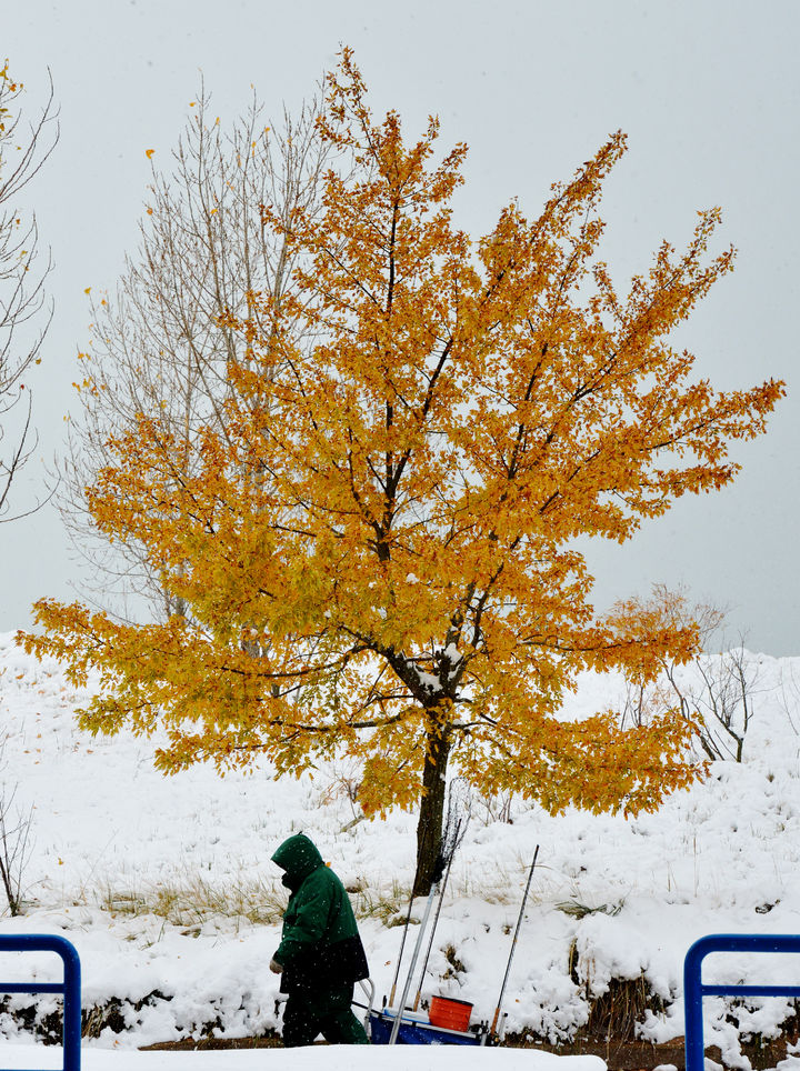 [미시간주=AP/뉴시스] 10일(현지 시간) 미국 미시간주 세인트 조셉 실버 비치 카운티 공원에 눈이 내리고 있다. 2025.11.11.
