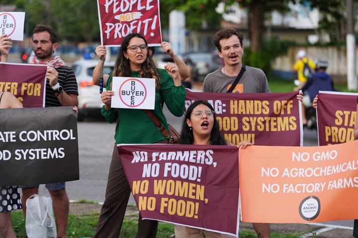 [벨렝( 브라질)=AP/뉴시스] 브라질에서 열린 올해 기후변화협약 당사국 총회(COP30) 회의 장소 앞에서 10일 국제 대형 농기업들의 횡포에 항의하는 시위가 열리고 있다. 2025.11.12. 